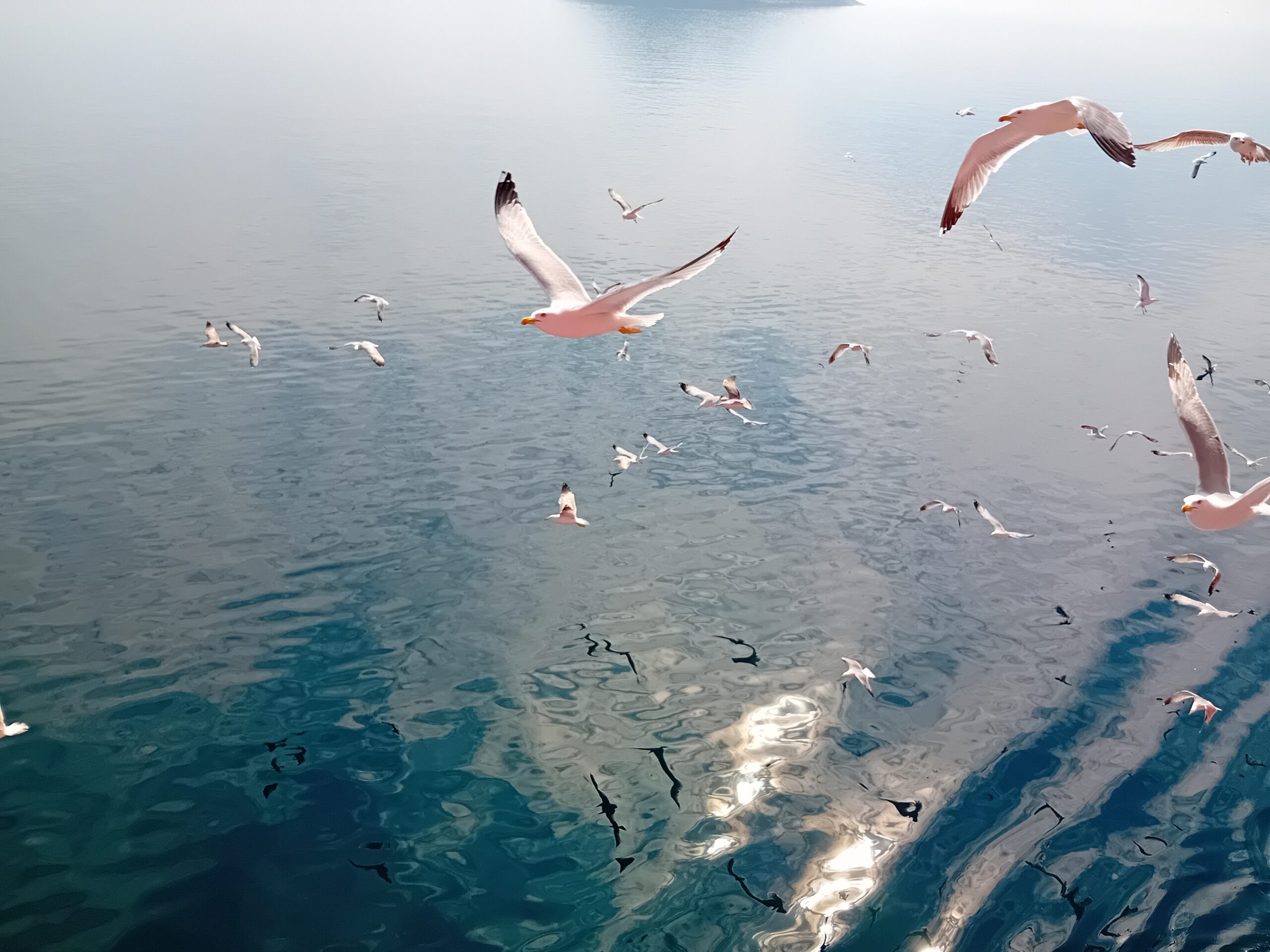 Картинката не може да има празен alt атрибут; името на файла е 20250421_102703-2-scaled.jpg